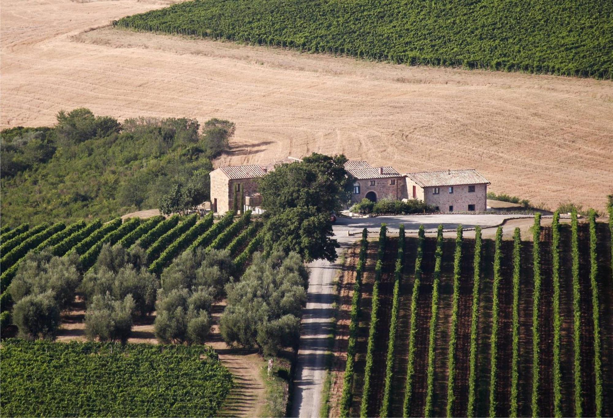 Agriturismo Il Poggione Montalcino Eksteriør bilde